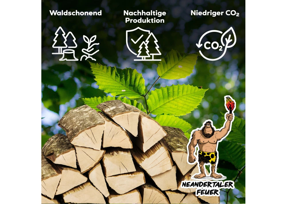 8 Packungen Hainbuchen-Brennholz, 2 RM, 33 cm Karton - GLUTHAUS