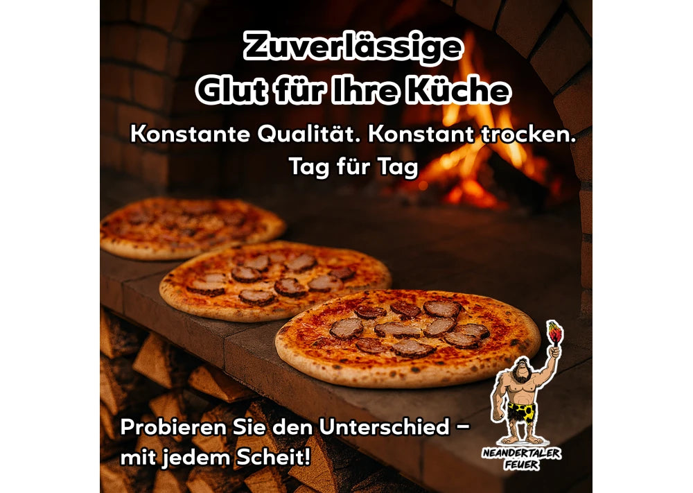 6 LKW Brennholz Hainbuche Buche 22 Paletten ( 44 RM ) 25 / 33cm (Copie) - GLUTHAUS