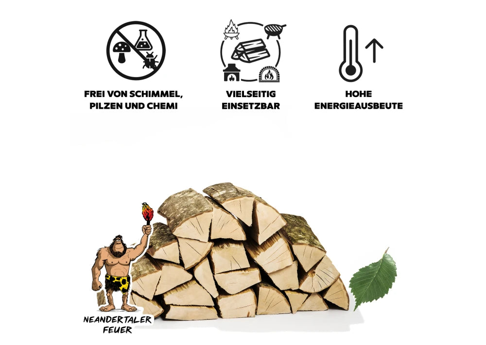 6 LKW Brennholz Hainbuche Buche 22 Paletten ( 44 RM ) 25 / 33cm (Copie) - GLUTHAUS
